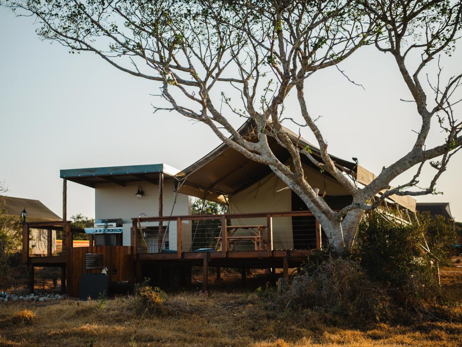 Longhill Lodge Addo Ngoại thất bức ảnh