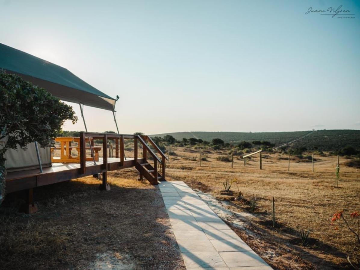 Longhill Lodge Addo Ngoại thất bức ảnh