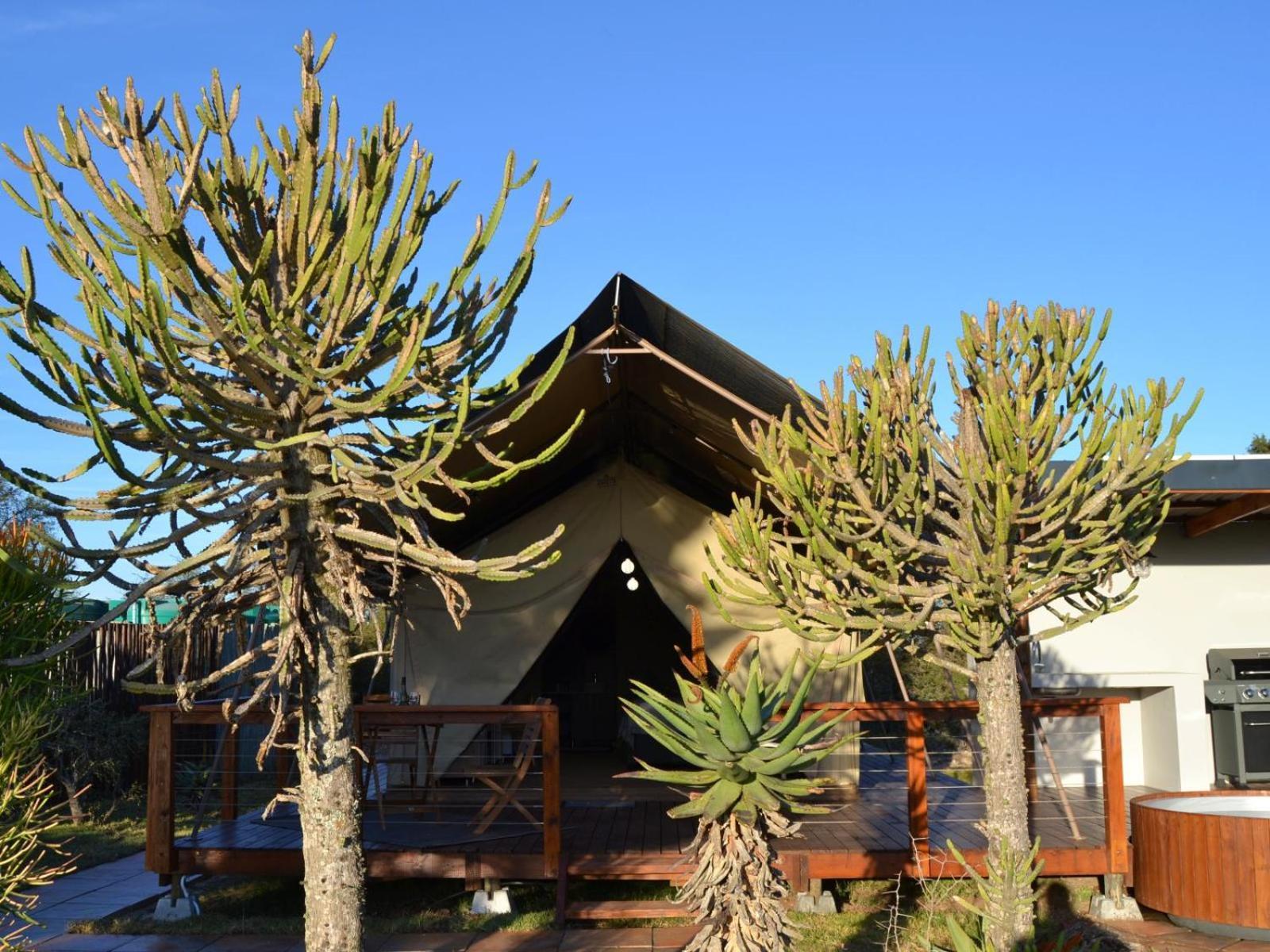 Longhill Lodge Addo Ngoại thất bức ảnh